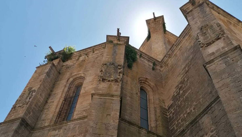 Visita guiada por la excolegiata de Santa Ana - Photo 3