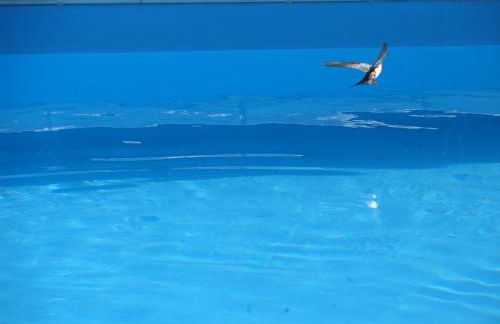 Agriturismo Sacchiafarm - Foto 10