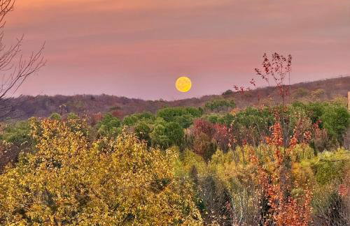 Private 2 Bedroom Lofted Garage Getaway - Foto 3