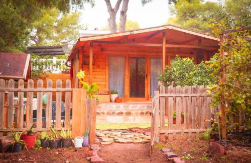 Cabaña madera en bosque 100 ECO - Foto 43