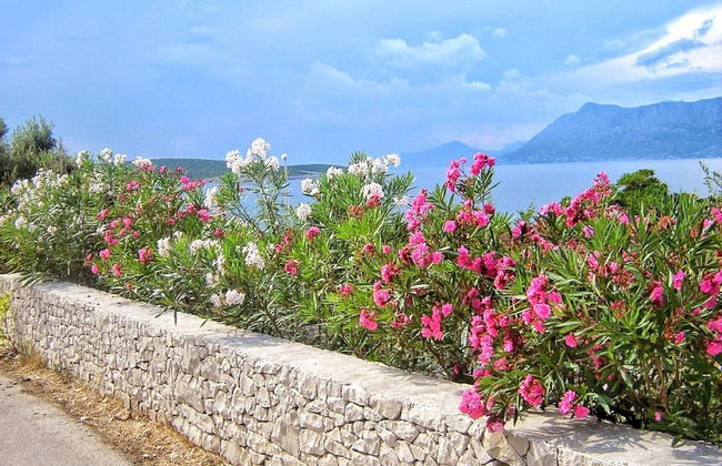 Apartments Gracin - Foto 71