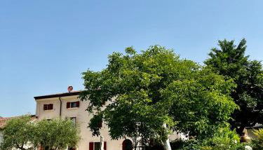 Corte Massimago - Photo 2, Garden, sunbed, Garden view