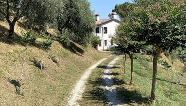 Tenuta da Mosè con vista sui colli asolani - Foto 3