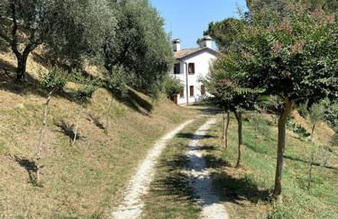 Tenuta da Mosè con vista sui colli asolani - Foto 3