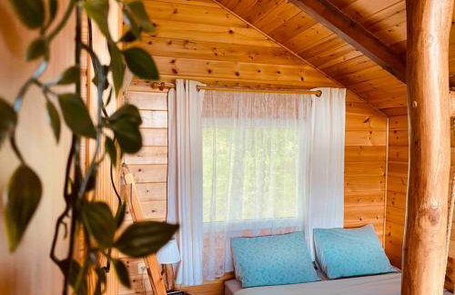 The Treehouse of The Dragon - Foto 2