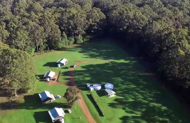 Tinglewood Cabins - Foto 19