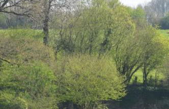 Gîte La Dortière s'Amuse, magnifique maison de maître 12min du Puy du Fo - Photo 64
