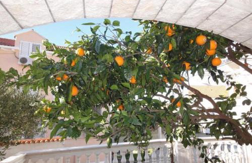 Apartments Orange Tree - Photo 43