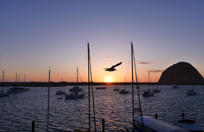 Gray's Inn & Gallery - Foto 41