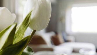 Westlake Harmony - Foto 5