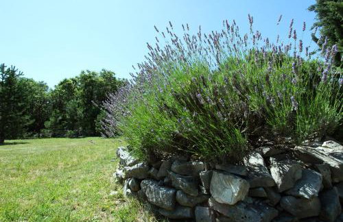 Villa Breg - Photo 43