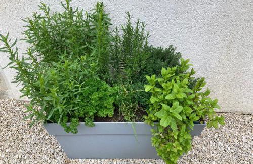 Gîte de l’enclos - Foto 26