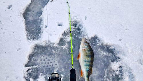 Dom Dwa Jeziora - Augustów - Foto 5