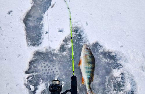 Dom Dwa Jeziora - Augustów - Photo 5