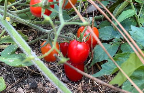 Just Peachy 2BR 2BA Private Luxury Apartment - Foto 76