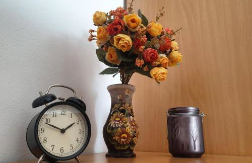 Villa Spanjol - Foto 71