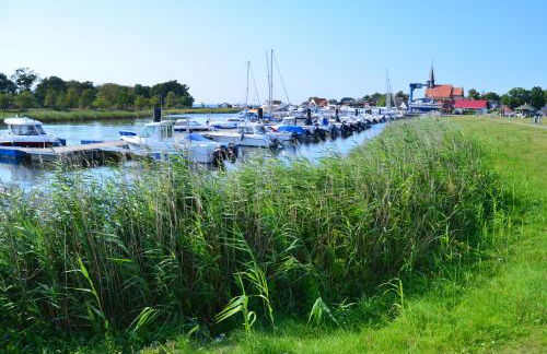 Reetferienhaus - Schaprode Hafen - Foto 29