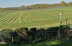 Bei Oparius - Photo 31