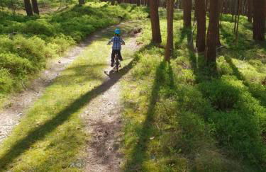 Ferienwohnung Peetsch am See - Foto 19