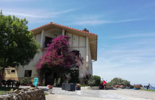 Gure ametsa - Foto 21