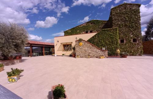 Agriturismo le Campanelle - Sicilia - Cefalù - Foto 2