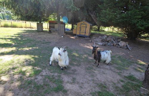 Le mas chambart - Foto 32