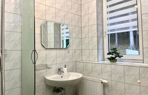 Ferienapartments Erzpanorama - Foto 27