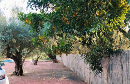 Los Tréboles - Foto 39