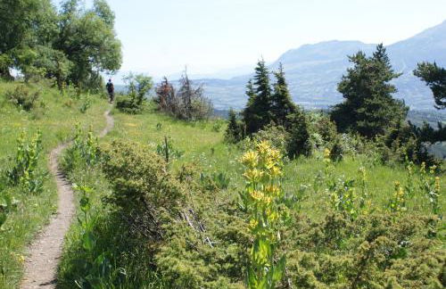 Chalets Shangrila - Foto 63