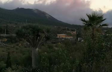 HACIENDA LA CENTENARIA,CASAS RURALES - Foto 7