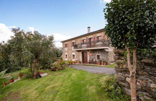 Vieiro Verde - Foto 9