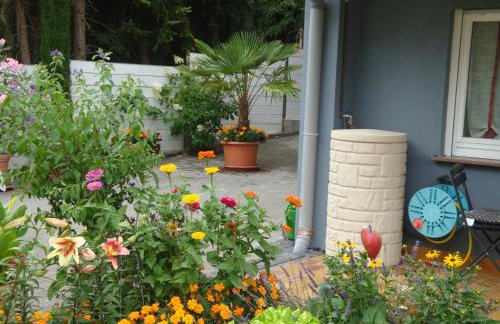 Villa Stumpf - Photo 27