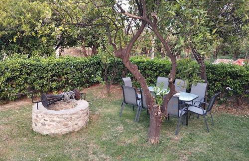 Portokalia - Foto 51