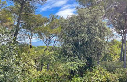 Maison en Provence - Les Bastidons du Ventoux - Photo 29