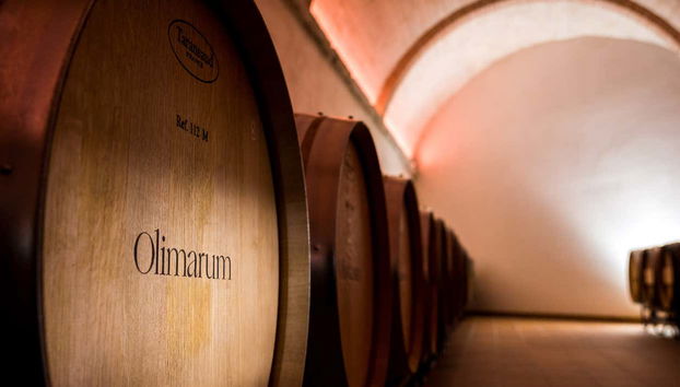 Tour in Canalejas de Peñafiel - Photo 5