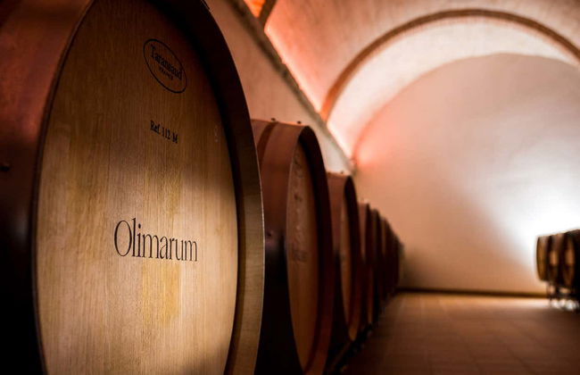 Visita alle cantine Olimarum - Foto 5