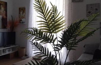 AGGELIKI STUDIOS - Photo 9