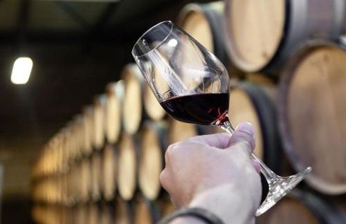 Santa Catarina Modern Flat - Foto 50