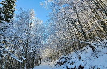 Bilocale nel Resort con terrazzo - Val di Luce - Foto 27