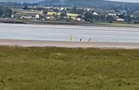 Rose cottage on the peaceful solway coast - Foto 14