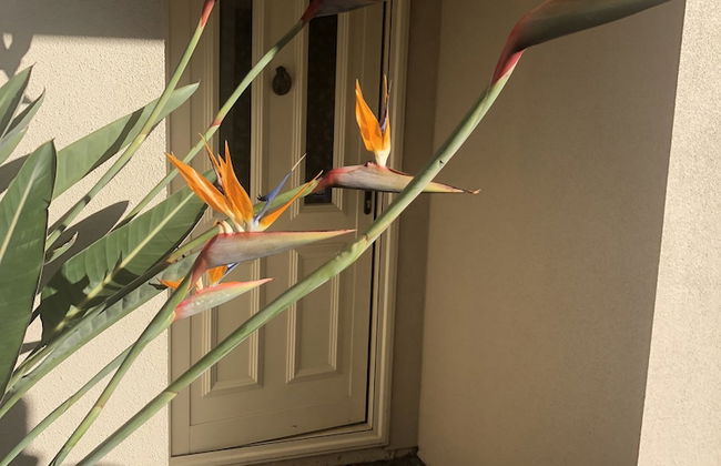 Auckland GQ Holiday Home - Photo 14