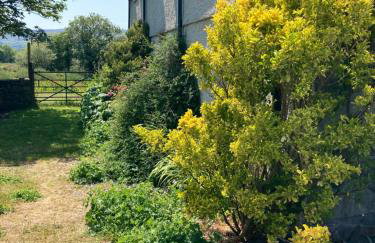 Perthi Uchaf - Foto 38