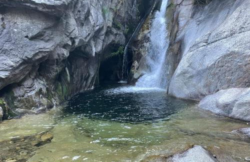 Bodeguita del Tiétar - Foto 21