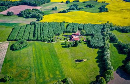 Agroturystyka Dzikie Stawy-Mazury - Foto 1