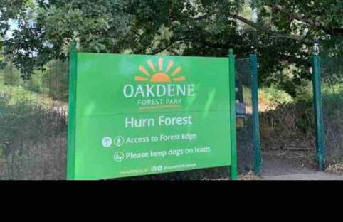 Pinto Holiday Home Oakdene Forest Park Passes Inc! - Foto 23