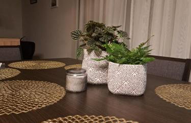 Klonowy Zakątek - Foto 24