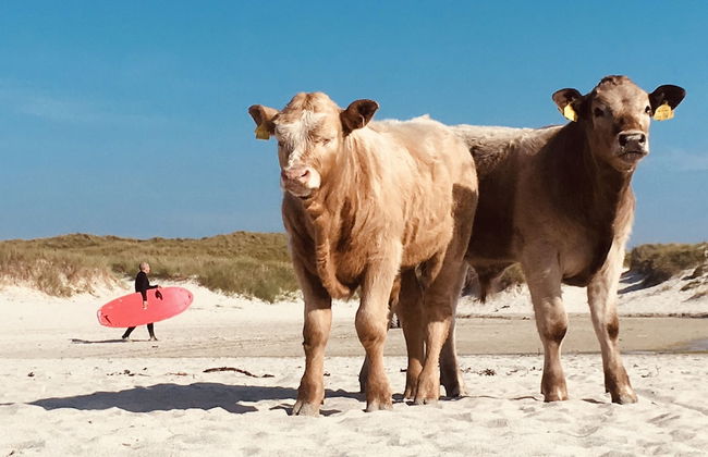 Kirkapol Beach Pod Sleeps 2 With Views - Foto 9