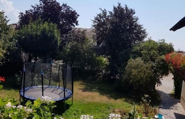 Ferienhof Löw - Photo 32