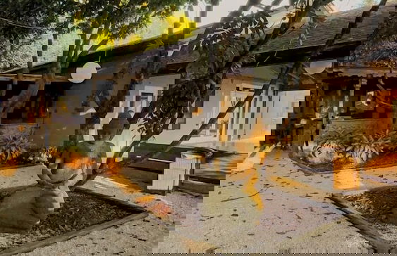 Find Peace - Tiny House in Japanese Garden - Foto 40