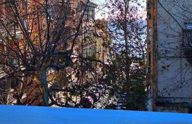 Platani del Corso - Attico con parcheggio privato - Private parking - Foto 8